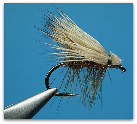 The Caddis Fly: Oregon Fly Fishing Blog | McKenzie River